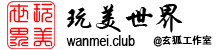 玩美世界